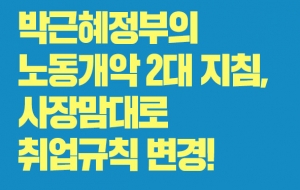 박근혜 정부의 노동개악 2대 지침!! 사진